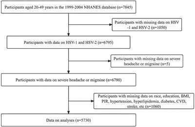 Association between human herpes simplex virus and severe headache or migraine among aged 20–49 years: a cross-sectional study